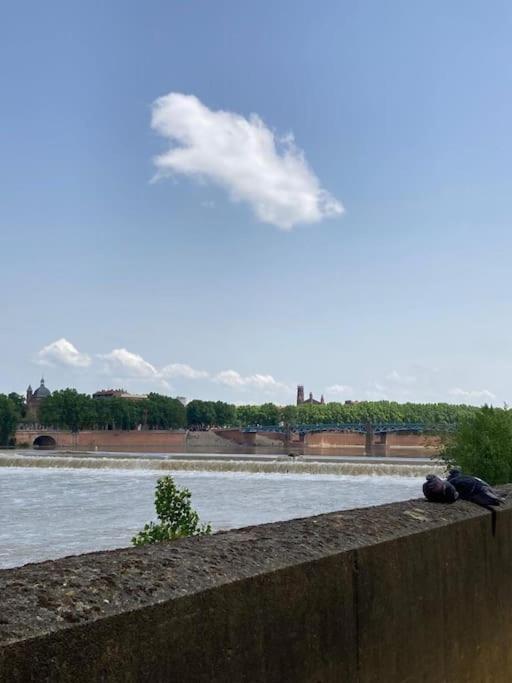 Charmant T2 Dans Toulouse Extérieur photo